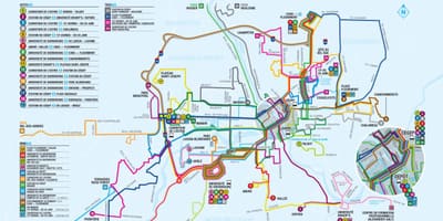 Quebec City bus wout kat jeyografik